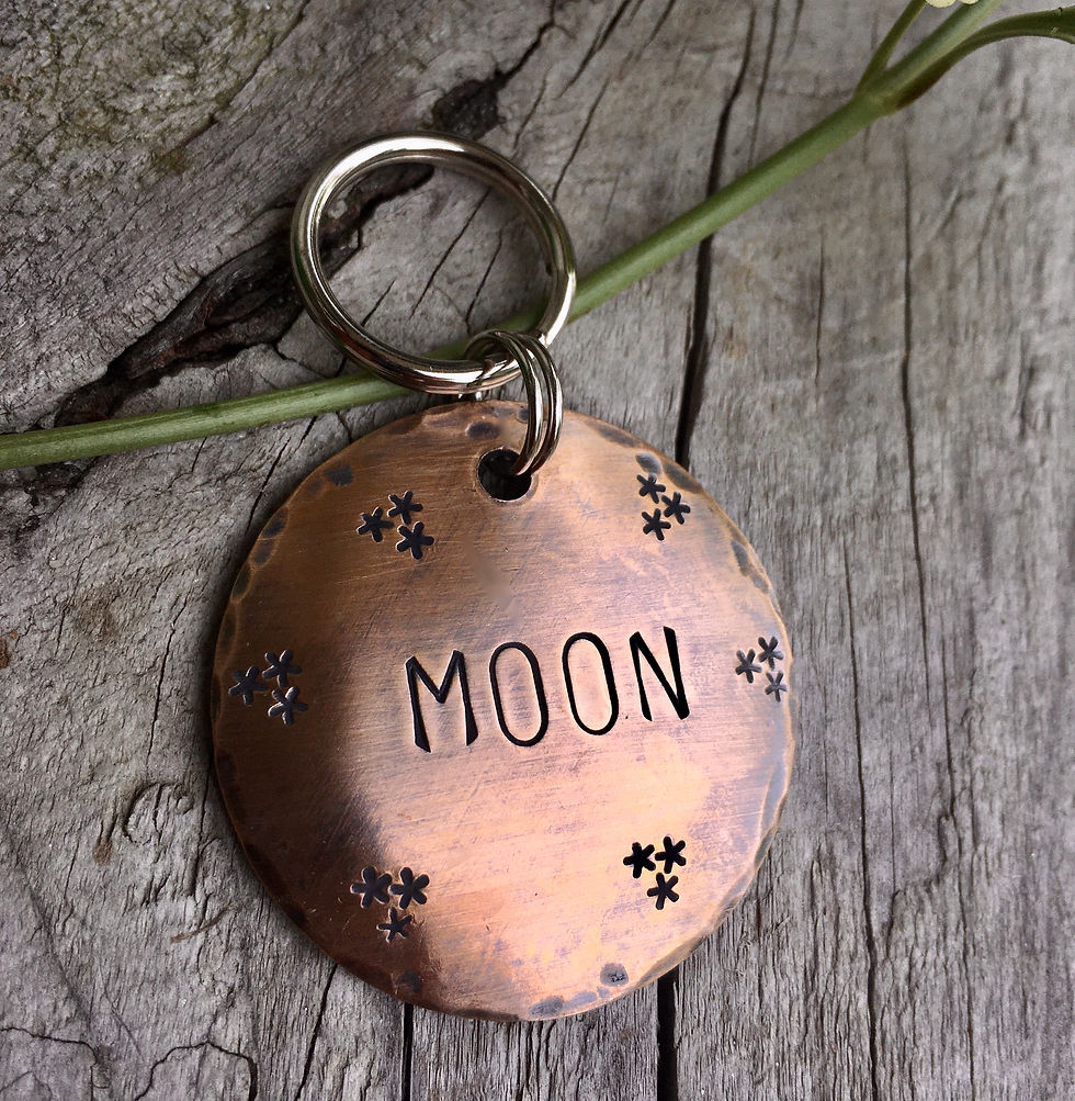 Starry Night Tag, in XL 1.5'' Weathered Bronze