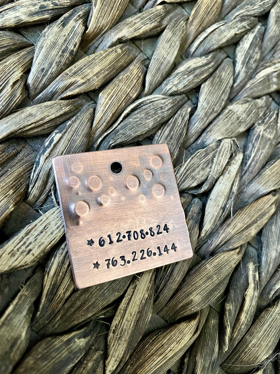Thumbnail: Moonrise Mountain - Crystal Gem Tag in Aluminum