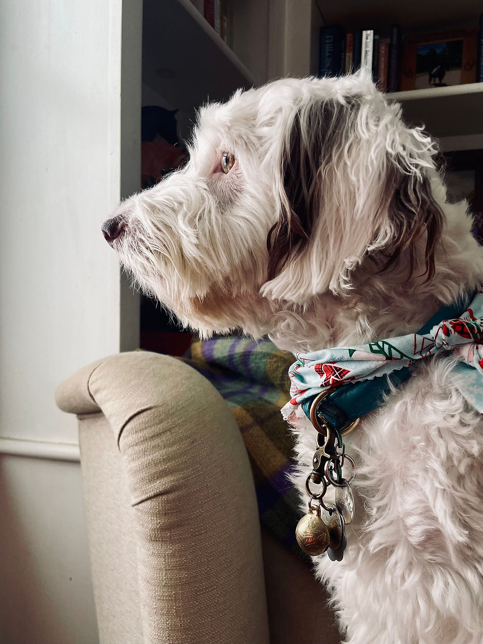 Thumbnail: Antiqued Brass Dog Bell