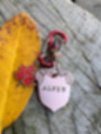 Thumbnail: Enamel Maple Leaf Charm for Pet Tags