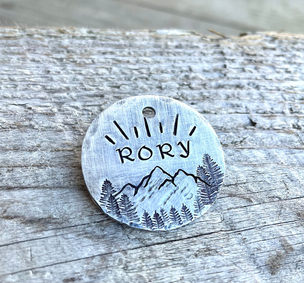 Thumbnail: Sunrise Mountain - 1.25" Bronze Custom Pet ID Tag