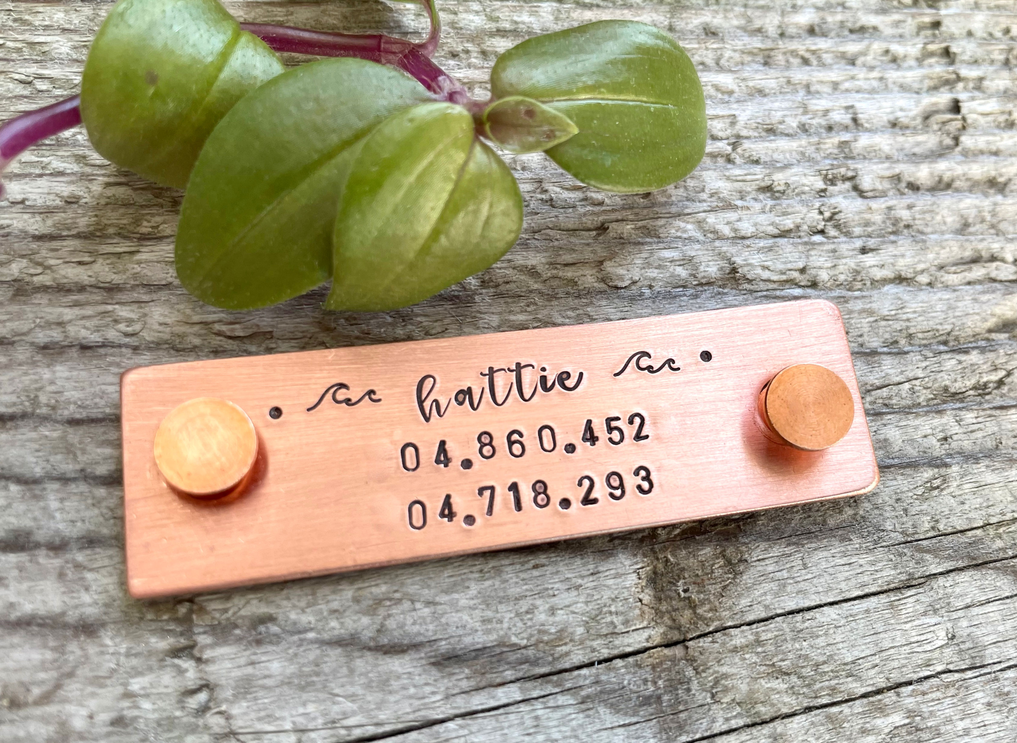 Rivet On Dog Tag - Dog Collar Nameplate - Small