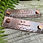 Thumbnail: Rivet On Dog Tag - Dog Collar Nameplate