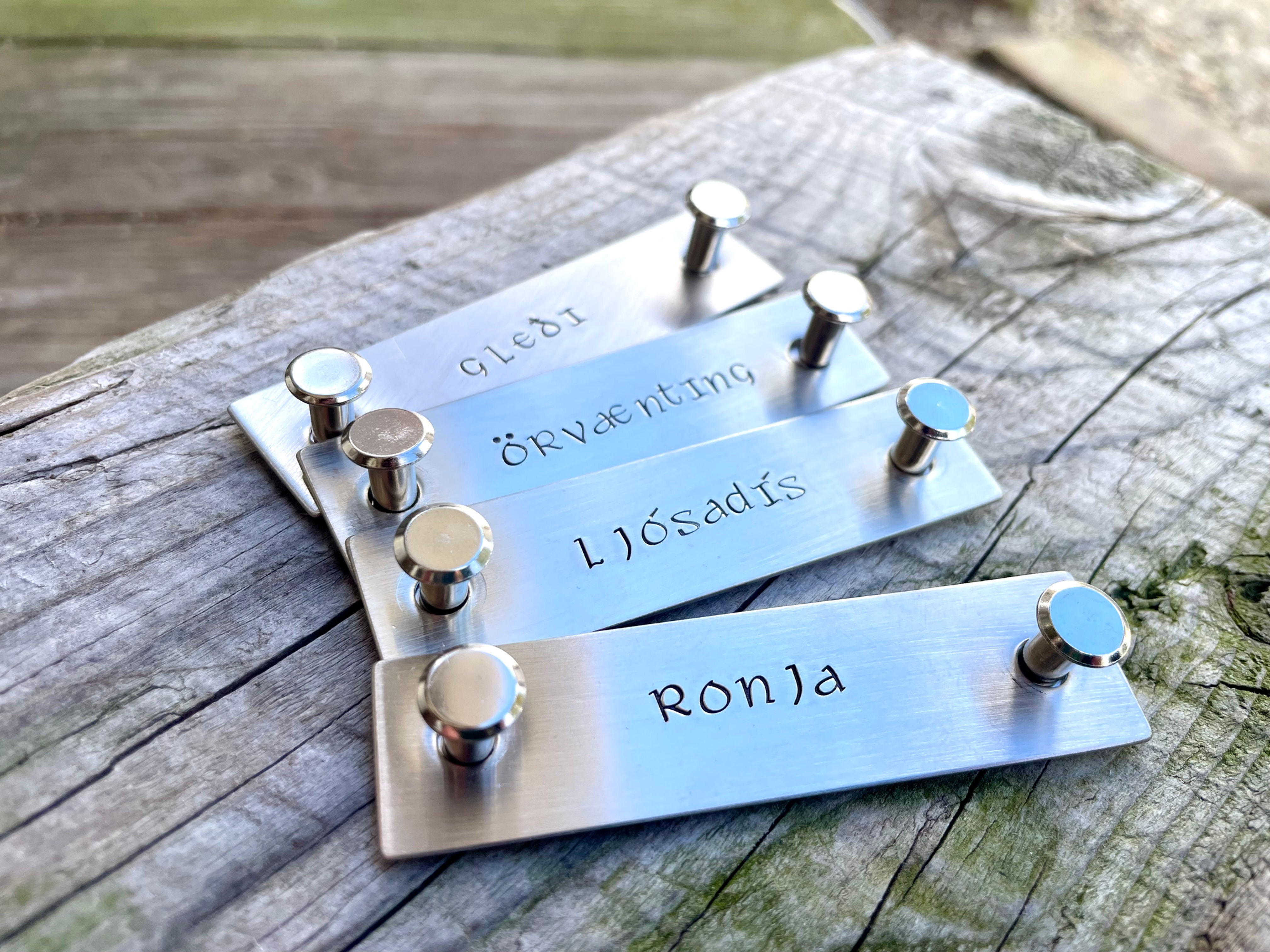 Custom Halter Name Plate in Brass or Nickel Silver