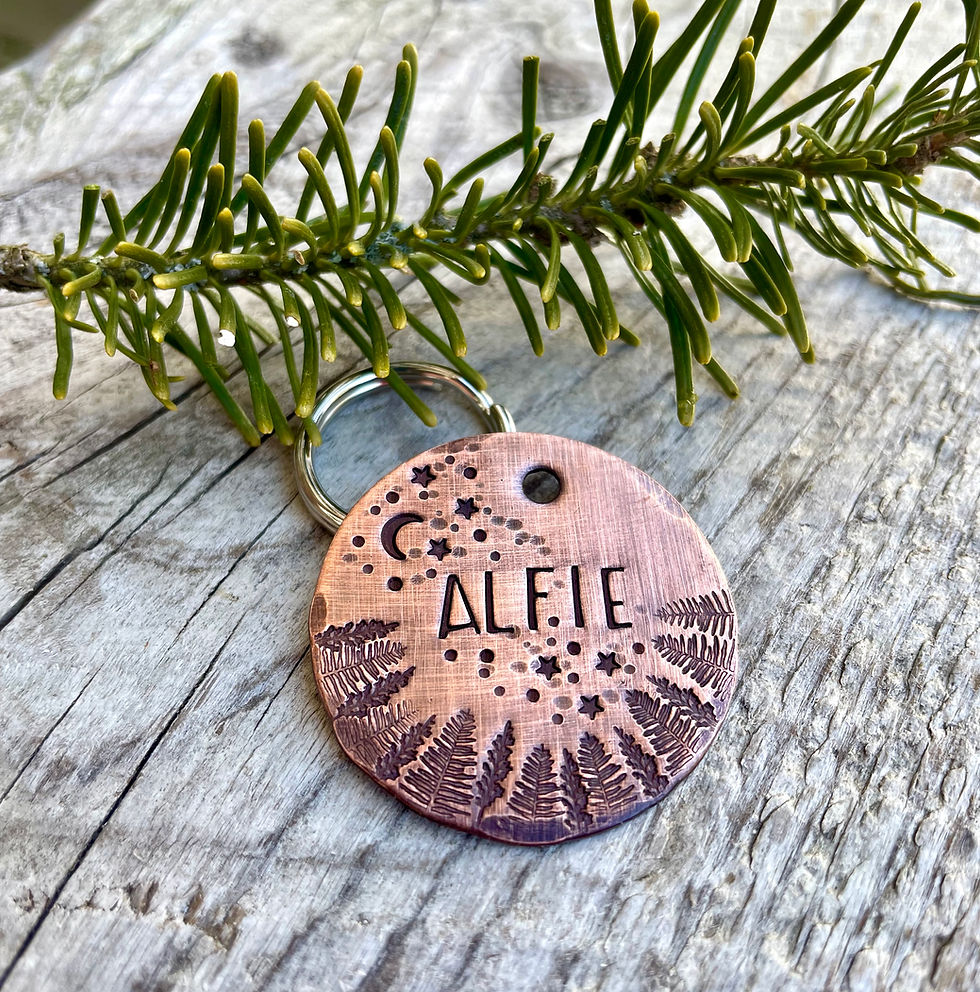 Thumbnail: The Northern Lights Pet Tag - 1.25" Weathered Copper