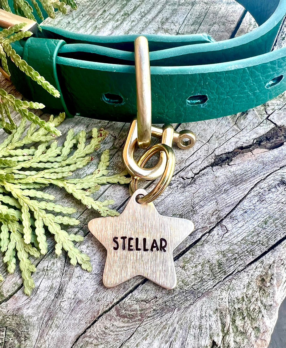 Thumbnail: Luxury Thick Brass Tag - Star