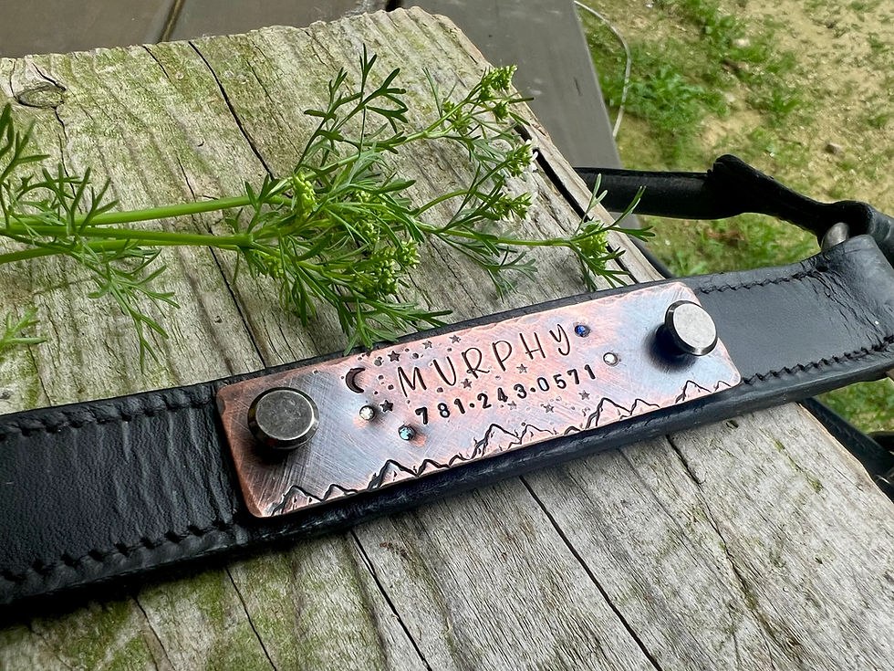 Thumbnail: Rivet On Dog Tag with Crystals - Dog Collar Nameplate