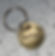 Butter - Brushed Brass 1" Dog/Cat tag