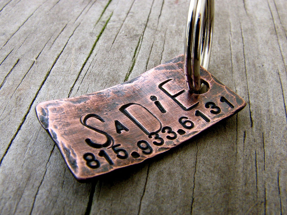 Thumbnail: Sadie - Weathered Copper Dog/Cat tag