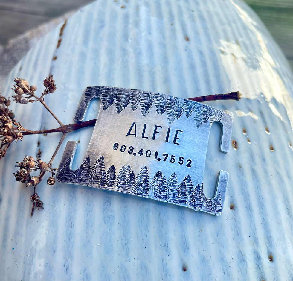 Thumbnail: Custom Quiet Slide ID Tag - LARGE - Reflection Forest