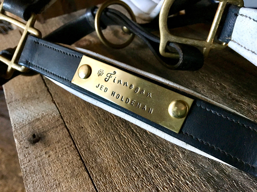 Thumbnail: Custom Halter Name Plate in Brass or Nickel Silver