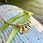 Thumbnail: Custom Expandable Birthstone Bracelet