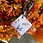 Thumbnail: Custom Dog ID-  Ollie Owl Tag- Personalized Pet Collar Tag