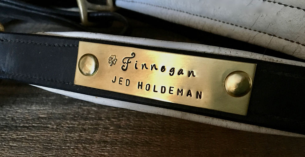 Thumbnail: Custom Halter Name Plate in Brass or Nickel Silver