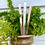 Thumbnail: Custom Plant Markers, Herb or Garden ID Stakes in Copper, Bronze or Aluminum