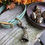 Thumbnail: Petite Antiqued Brass Dog Bell