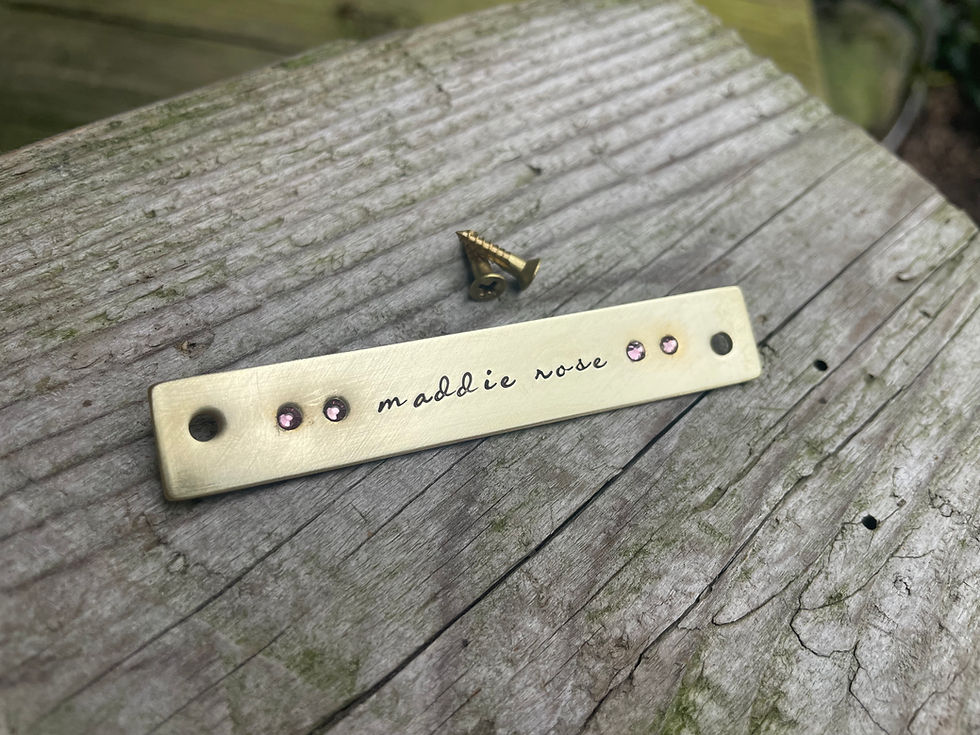 Thumbnail: Custom Saddle Plate with Crystals