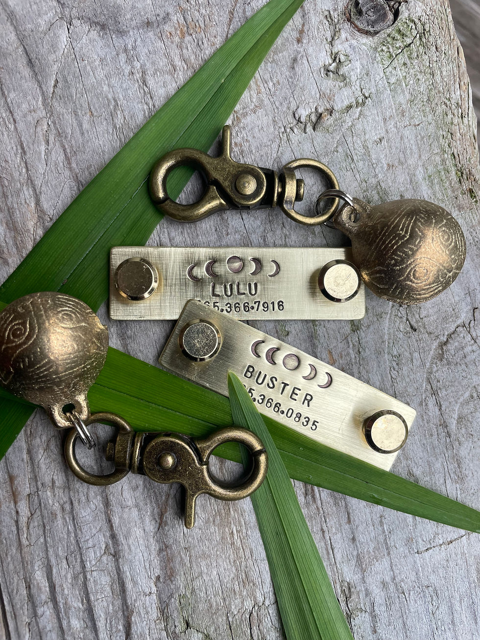 Thumbnail: Rivet On Dog Tag - Dog Collar Nameplate - Small