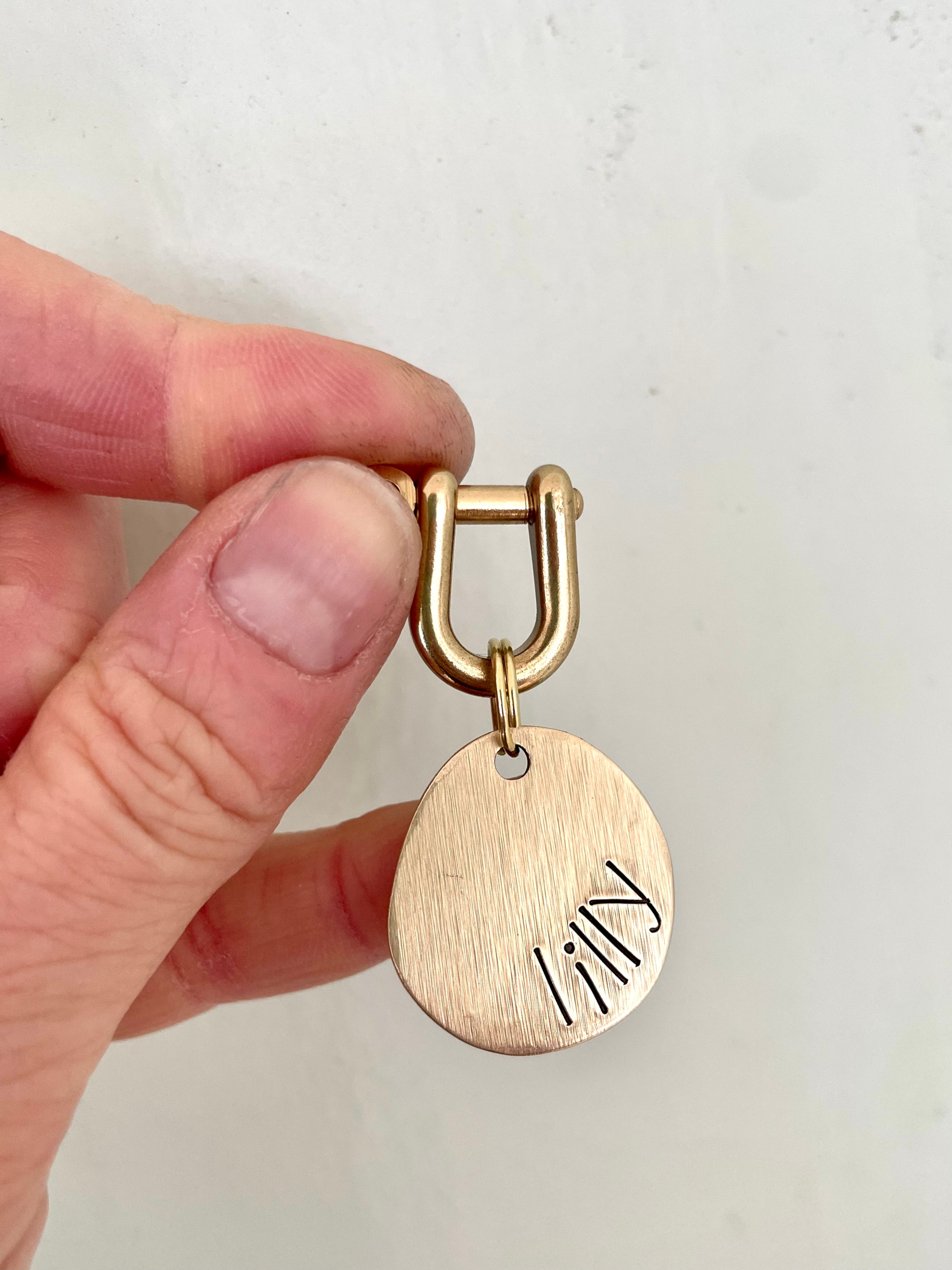 Brass Horseshoe Tag Lock