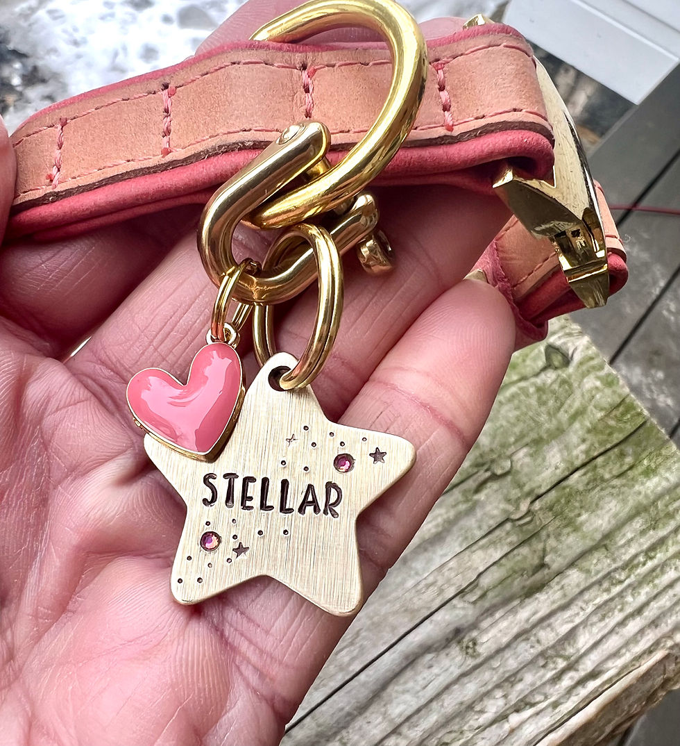 Thumbnail: Luxury Thick Brass Tag - Star