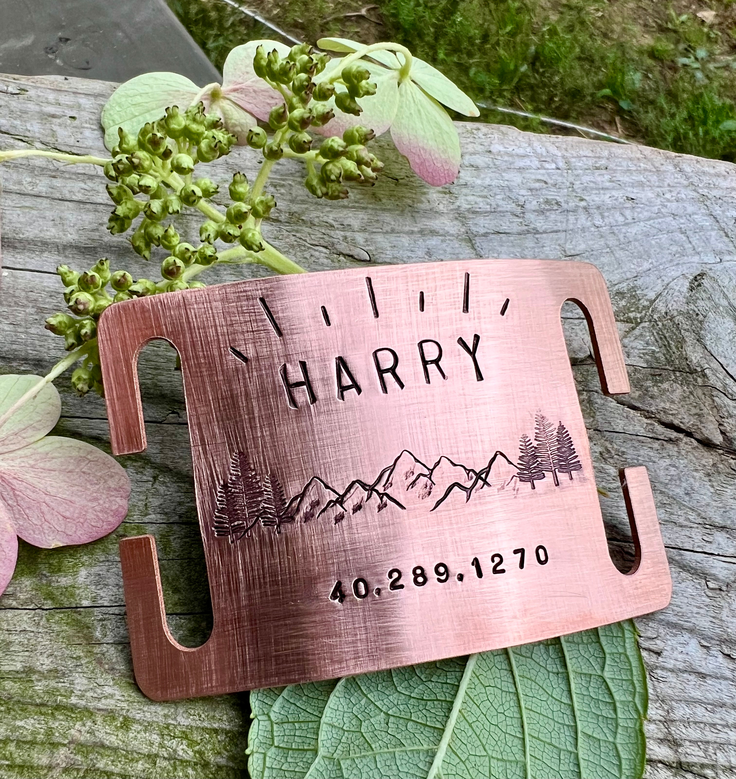 XL Quiet Slide Tag - Sunrise Mountains- for 1.5" collars