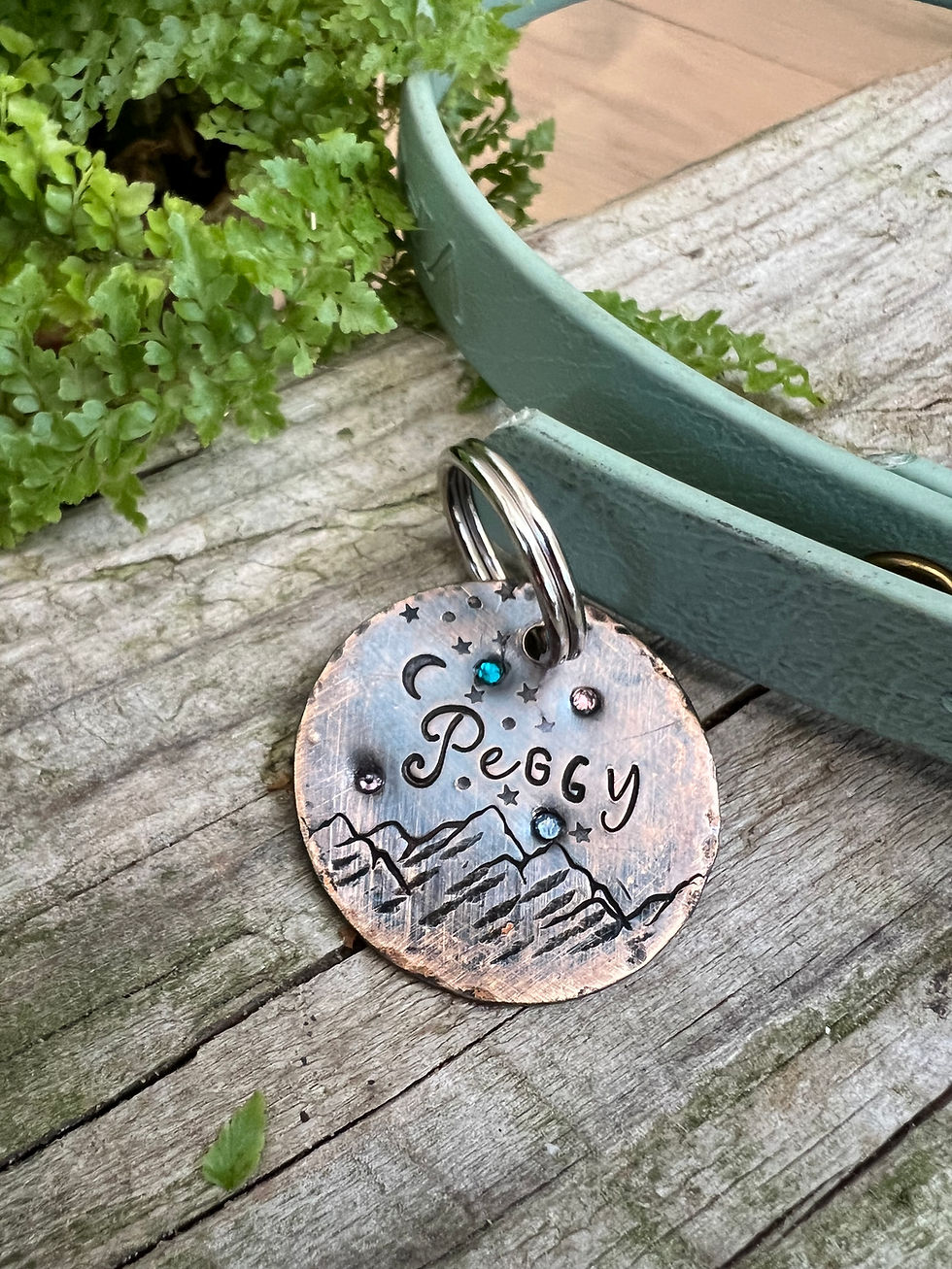 Thumbnail: Crystal Mountain Skies - Custom Pet Tag in Bronze