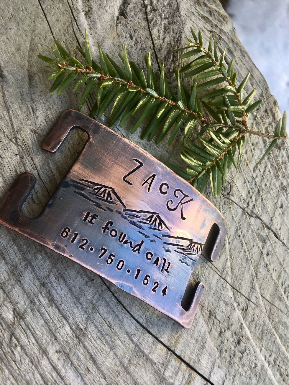 Thumbnail: Mountain Design -- Custom Quiet Slide ID Tag - LARGE