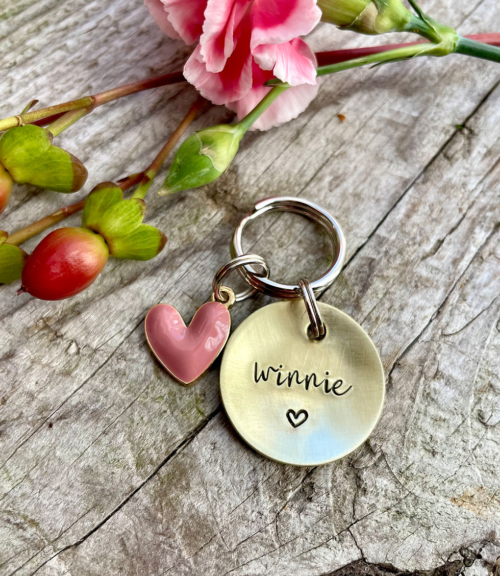 Thumbnail: Enamel Heart Charm for Pet Tags