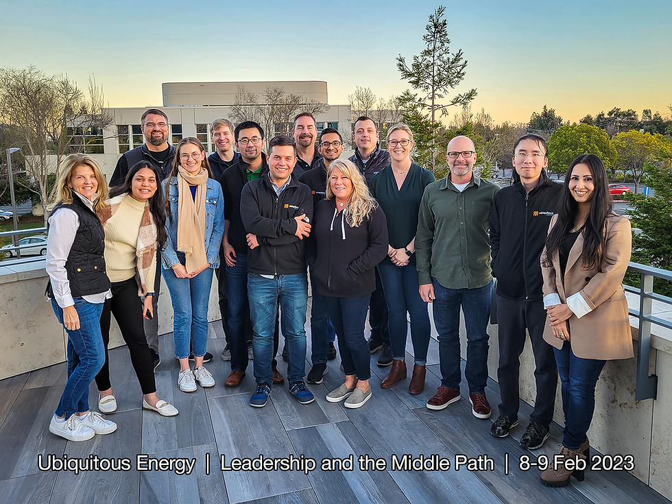 UE LMP Workshop Particpnts 8Feb23