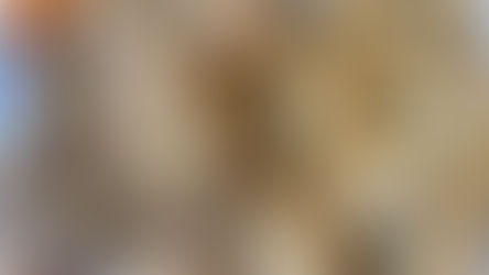 Holiday Cranberry Pistachio Chocolate Chip Rolled Oats Cookies