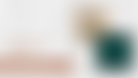 Feldman's Faves: November 25, 2024