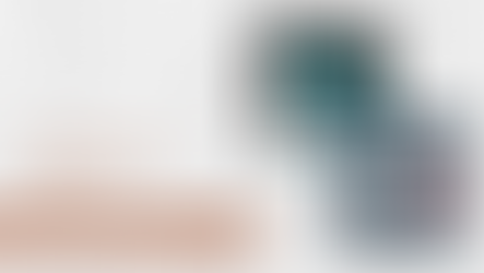 Feldman's Faves: December 9, 2024