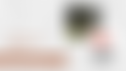 Feldman's Faves: November 4, 2024