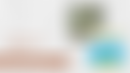 Feldman's Faves: November 13, 2023