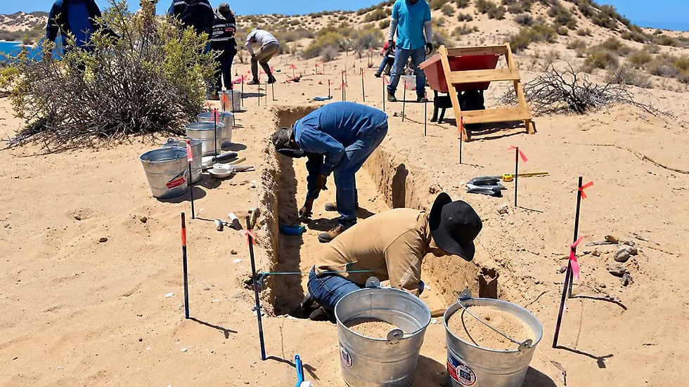 ¡EL DESIERTO REVELA SUS SECRETOS! DESCUBREN CUATRO SITIOS ARQUEOLÓGICOS DURANTE OBRAS DE CENTRAL SOLAR EN SONORA