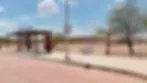 ree