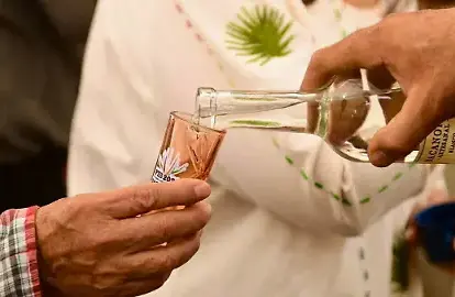 BACANORA: EL ESPÍRITU DE SONORA QUE SOBREVIVIÓ A LA PROHIBICIÓN Y HOY CONQUISTA PALADARES