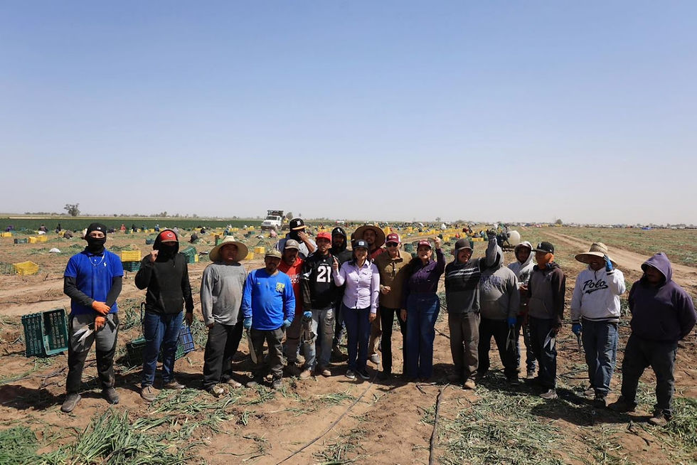 RECONOCE GOBIERNO DE SONORA ESFUERZO DE TRABAJADORES AGRÍCOLAS; SOSTIENEN MÁS DE 137 MIL EMPLEOS