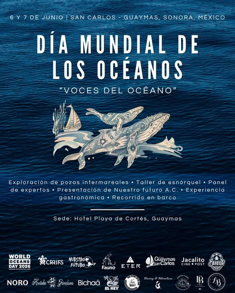 ALERTAN POR RIESGO A BALLENAS Y FAUNA MARINA ANTE PROYECTOS DE GAS EN SONORA