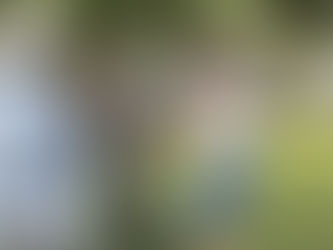 IMPULSA GOBIERNO DE SONORA LA SEMANA DE LA AMISTAD EN CENTROS PARA ADULTOS MAYORES