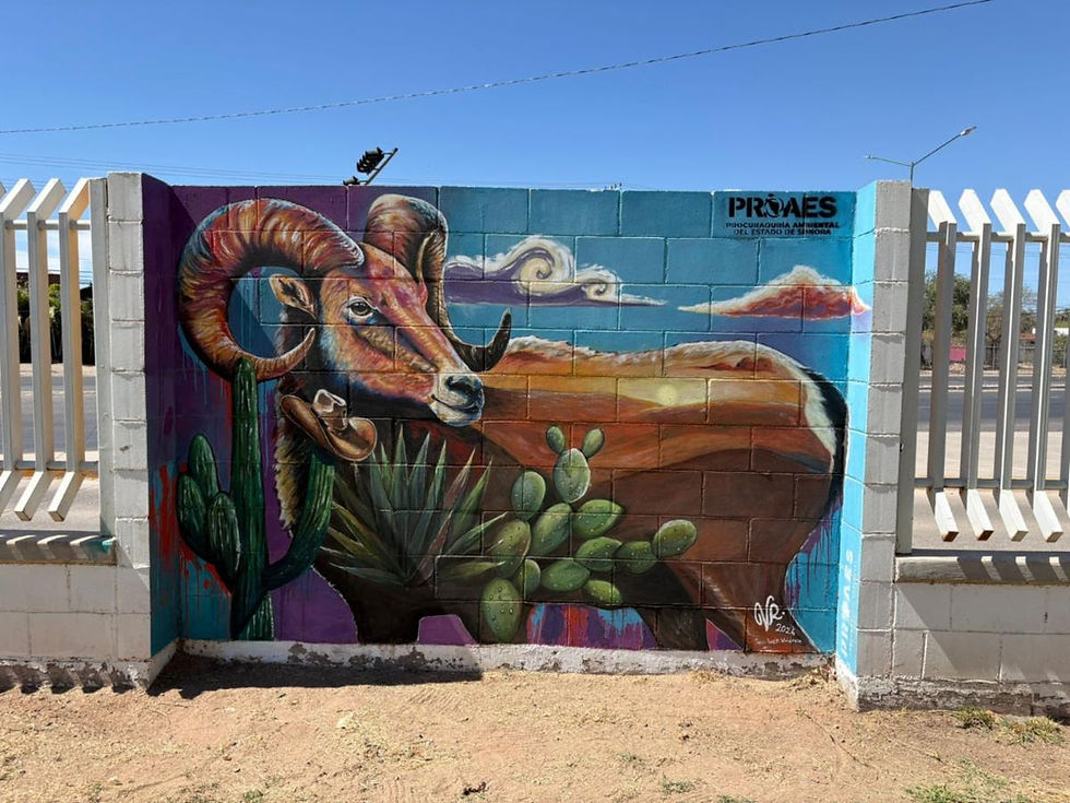 ARTE CON CAUSA: ESTUDIANTES DE COBACH PLASMAN CONCIENCIA AMBIENTAL EN PREMIADO CONCURSO DE MURALES
