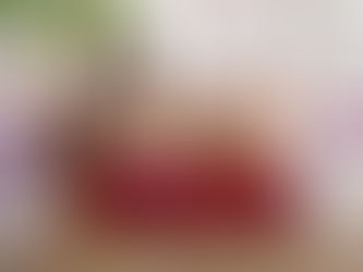 IMPULSAN SALUD BUCAL EN SONORA: ENTREGAN MÁS DE 58 MIL KITS DENTALES A ESTUDIANTES