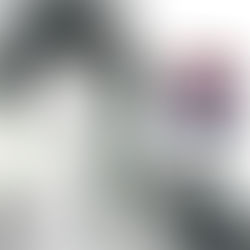 DE ÍDOLO DEL ROCK FRONTERIZO A UNA CELDA EN ARIZONA: LA TRÁGICA CAÍDA DE FRANKIE GÁMEZ