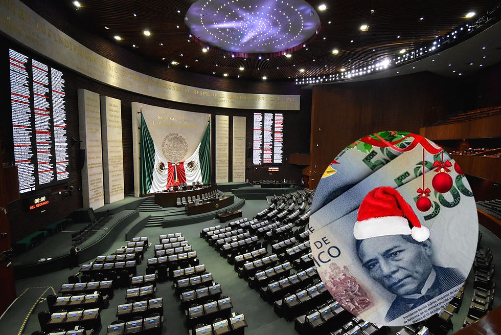 DIPUTADOS Y SENADORES RECIBIRÁN MÁS DE 208 MILLONES DE PESOS EN PAGOS Y PRESTACIONES ESTE DICIEMBRE
