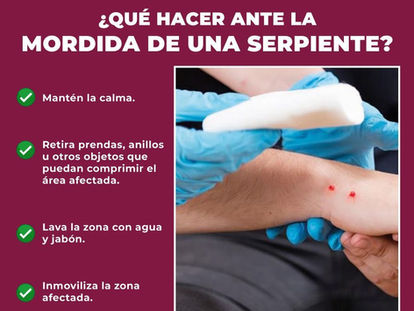 LLAMAN A PREVENIR MORDEDURAS DE SERPIENTE Y ACTUAR CON RAPIDEZ ANTE EMERGENCIAS