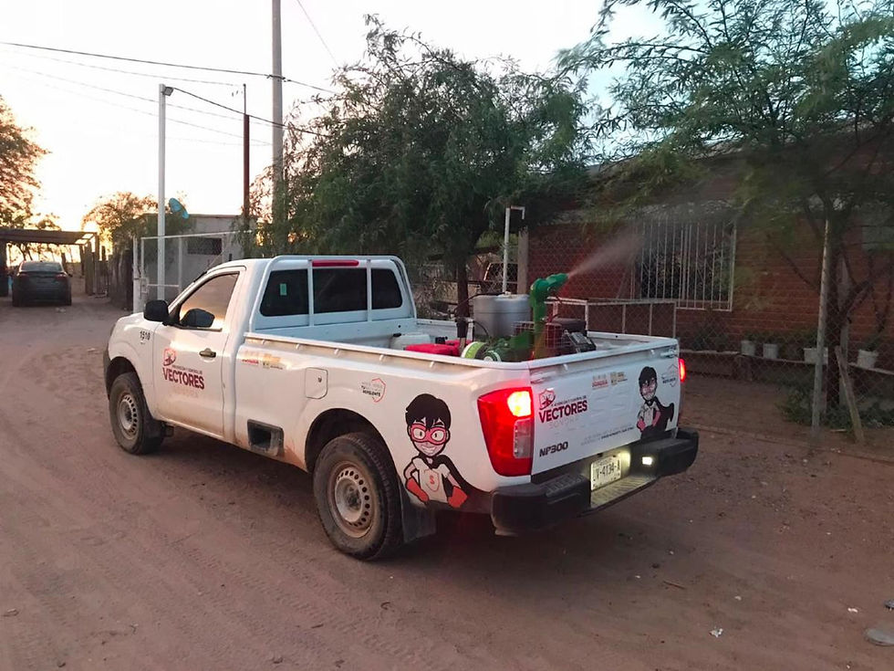 REFUERZAN COMBATE AL DENGUE EN NOGALES CON OPERATIVO DE FUMIGACIÓN TRAS LAS LLUVIAS