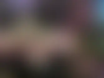 TRAGEDIA EN LOS FESTEJOS MUNDIALISTAS: SUMAN CUATRO FALLECIDOS TRAS CELEBRACIÓN DE LA SELECCIÓN MEXICANA