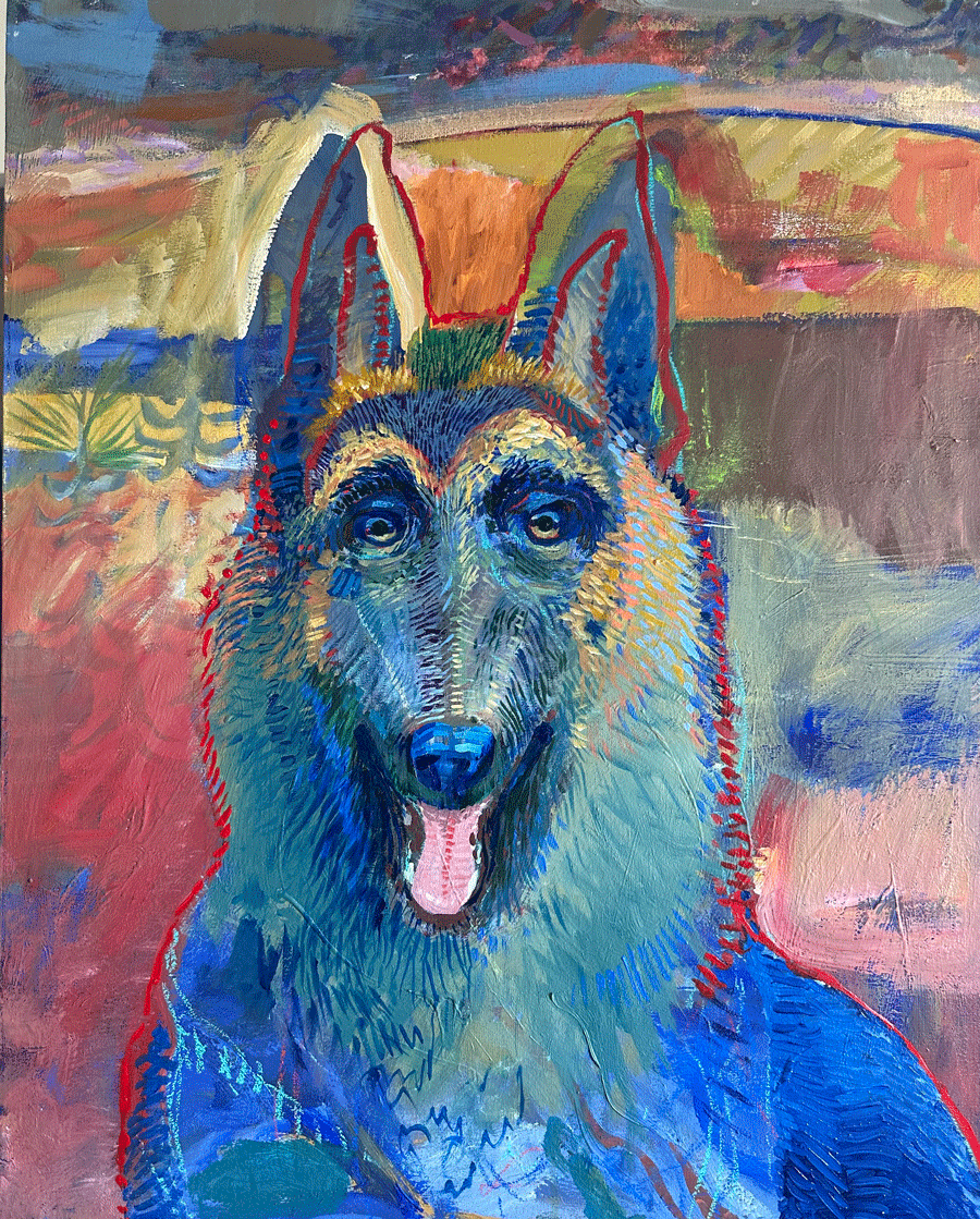 Shadow, German Shepard, Great dog,