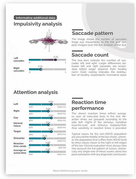Braingaze report layout