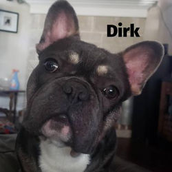 Father - Dirk